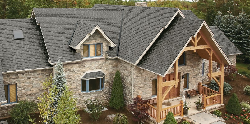 Dynasty<sup>®</sup> Cool Colors<sup>™</sup> Plus