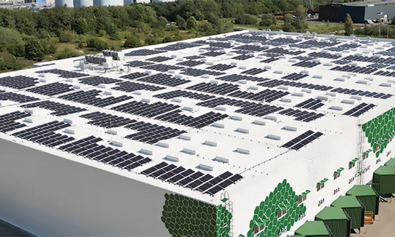 The Kaubamaja Project